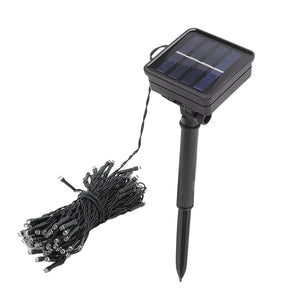 SolarGlow Festive Lights